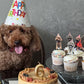 Köpekler İçin Kemik Süslemeli Pasta
