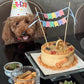 Köpekler İçin Kemik Süslemeli Pasta