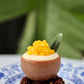 Coconut Mango